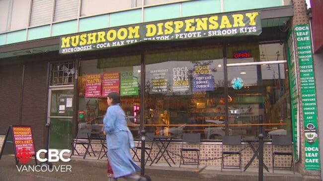 Vancouvers magic mushroom dispensaries: Storefronts and Online