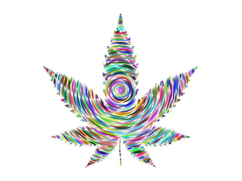 Awaken Your Senses with Cannabis Terpenes: A Friendly Exploration